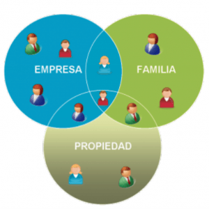 Cómo Organizar una Empresa Familiar con Éxito